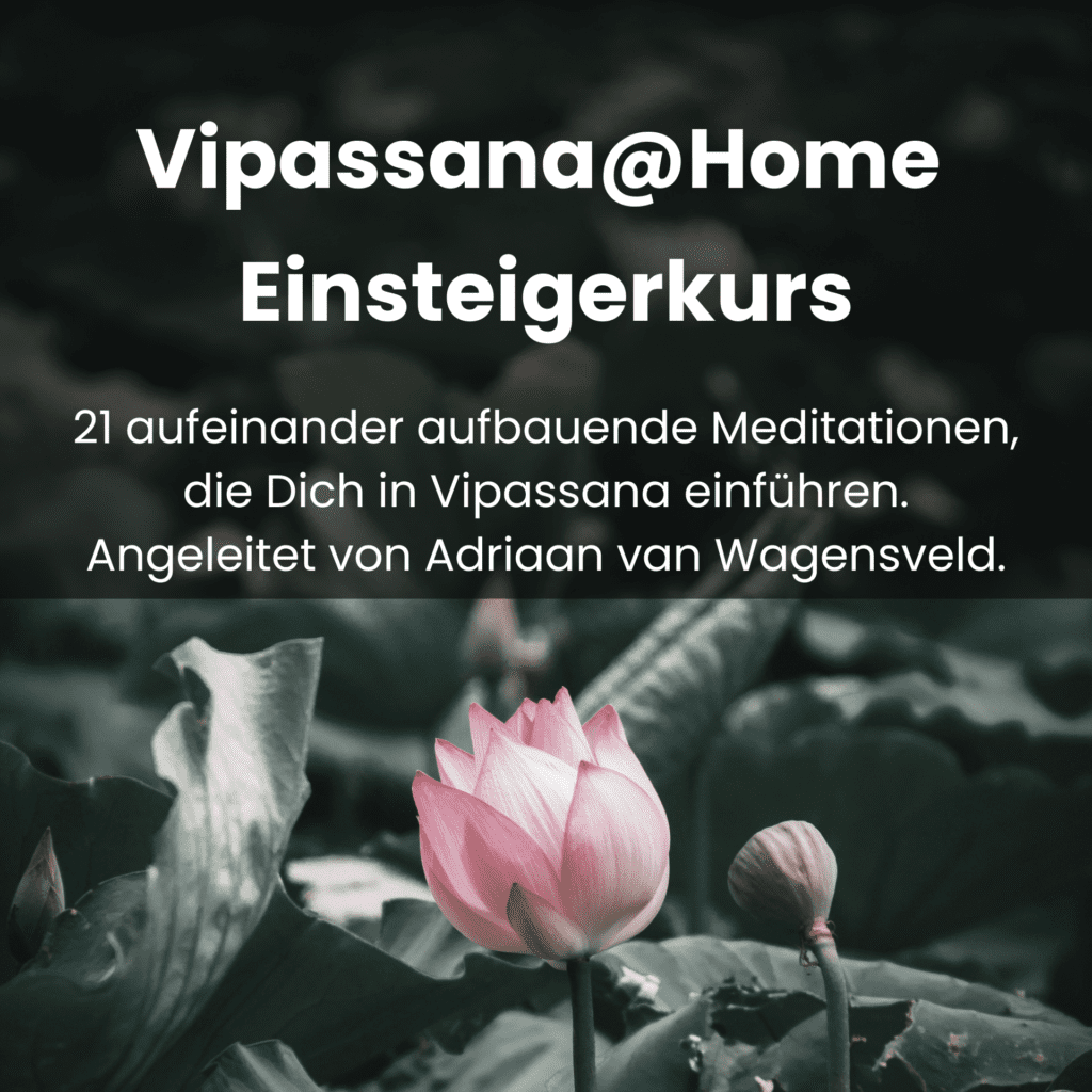 Vipassana Onlinekurs