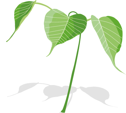 Vipassana Jetzt Logo