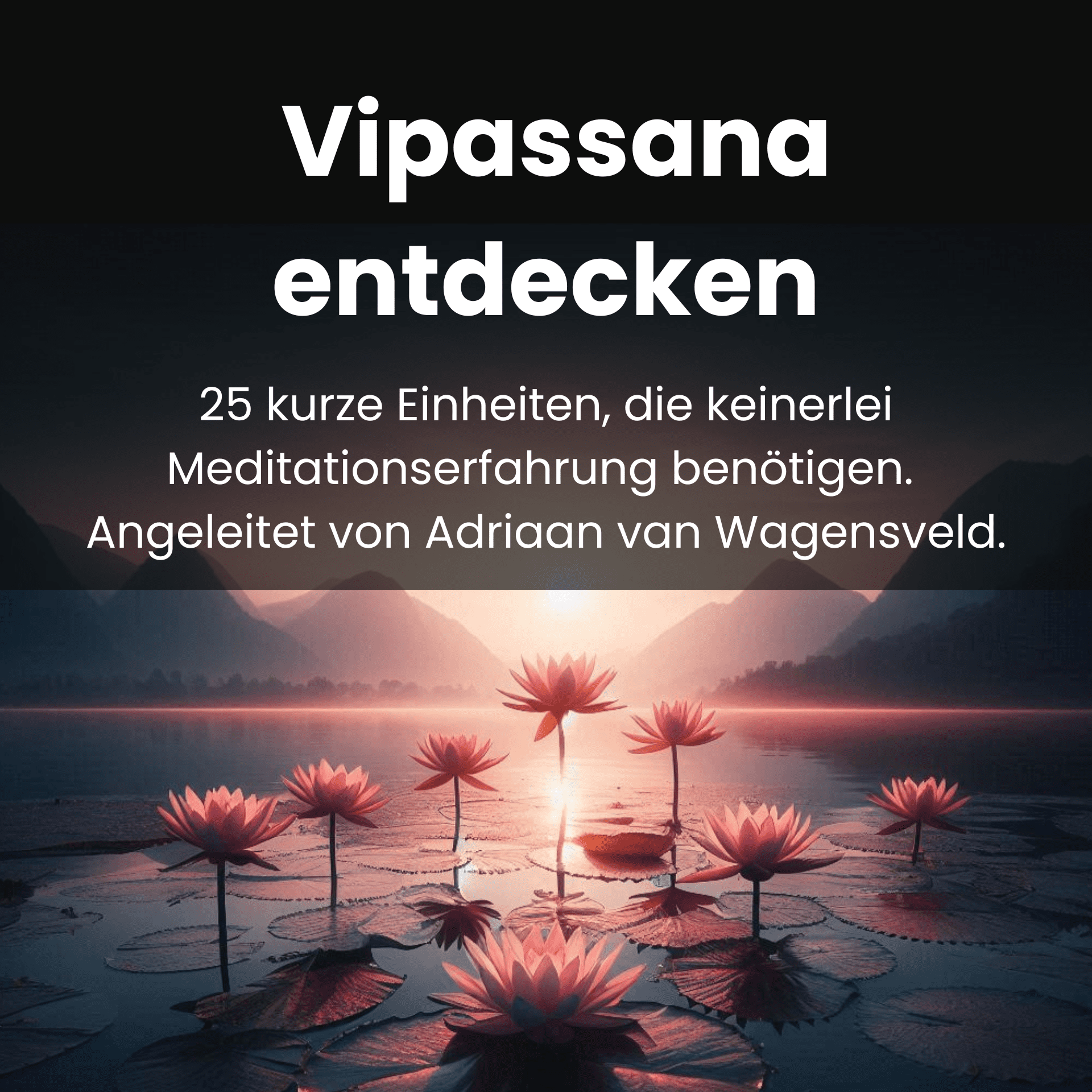 Vipassana entdecken