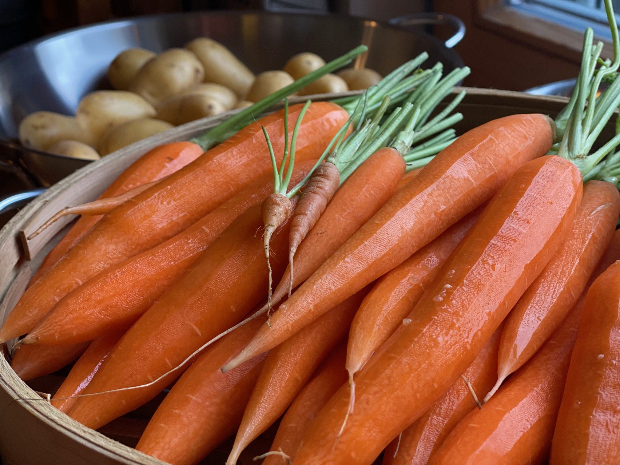 Gedämpfte Möhren auf dem Mittagsbuffet während eines Vipassana Retreats