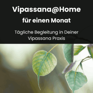 Tägliche Begleitung in Deiner Vipassana Praxis für einen Monat