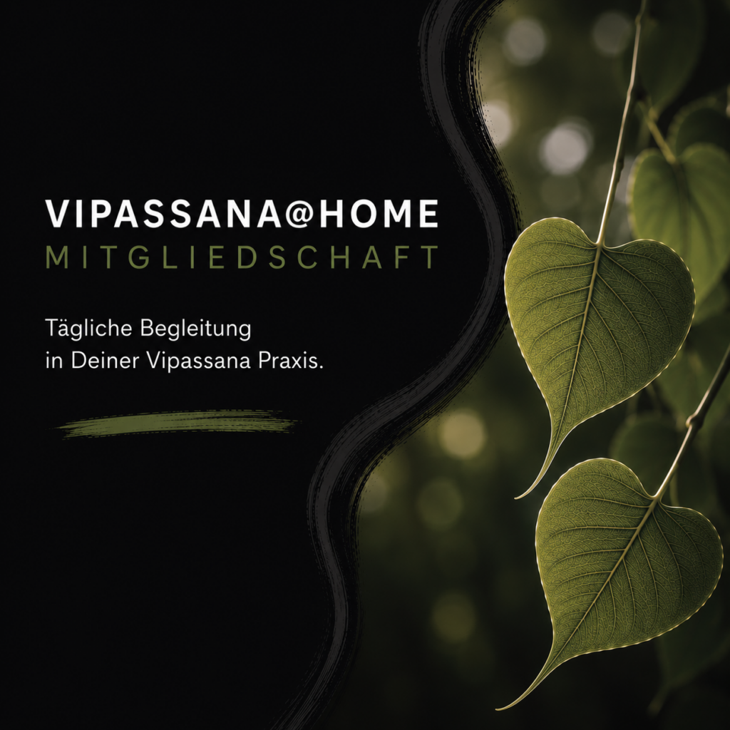 Vipassana@Home