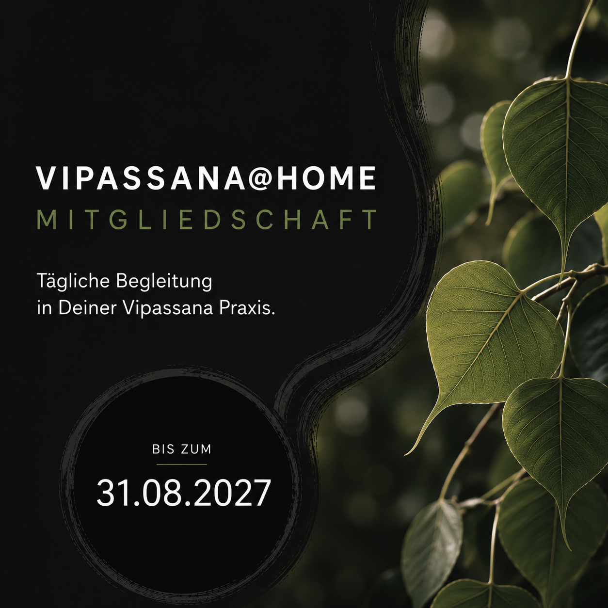 Vipassana@Home